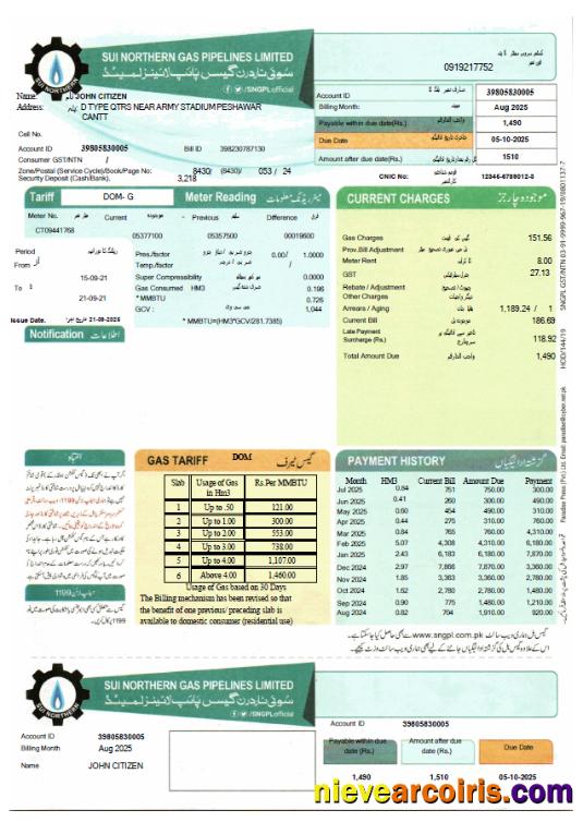 Pakistan Sui Northern Gas Pipelines utility bill